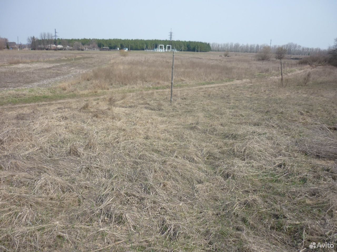 почва хомутовский район. 3000 соток. участки в курском районе. деревня 1- цветово. пименово курская область.