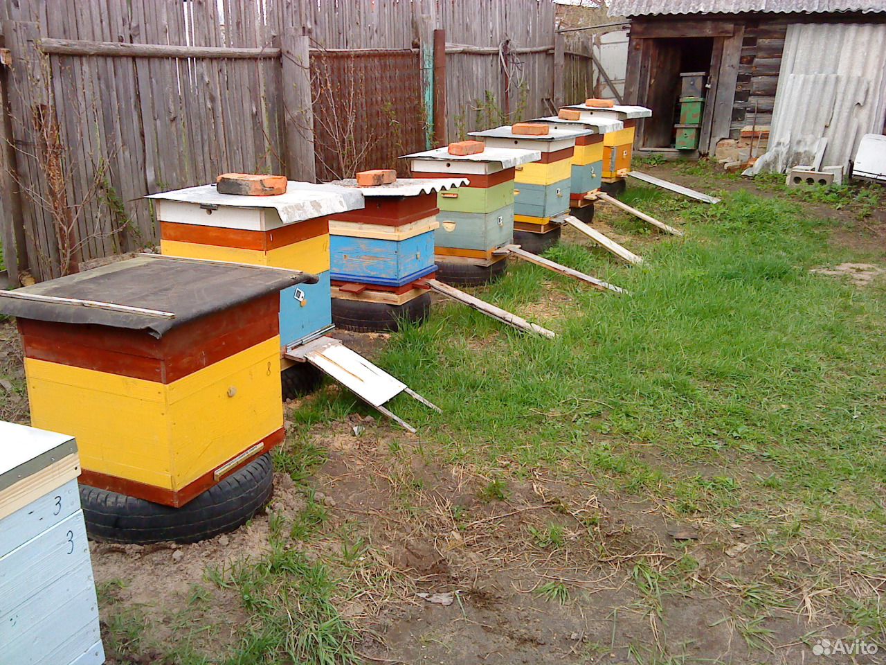 Пчеловодство купить на Зозу.ру - фотография № 9