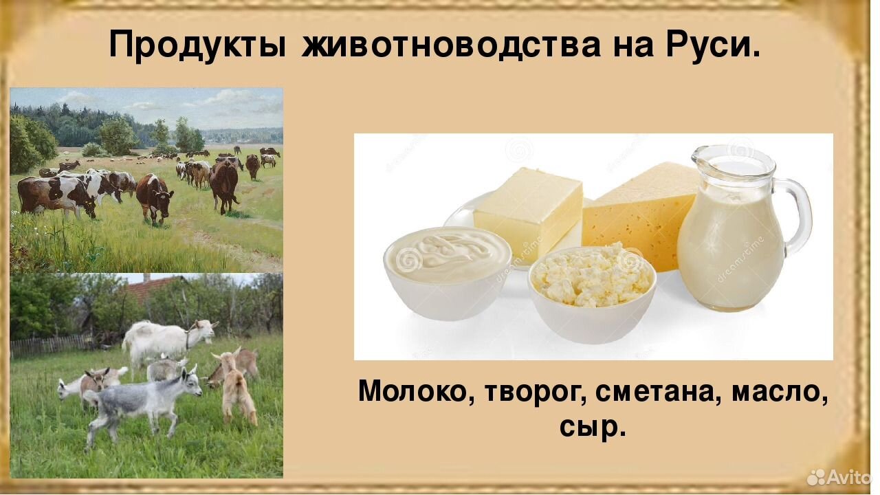 Продукты животноводства определение