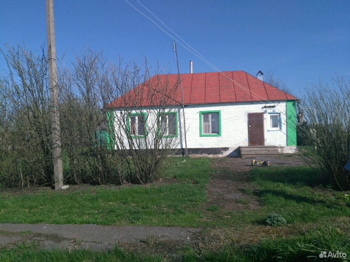 Деревня Панино Воронежская область