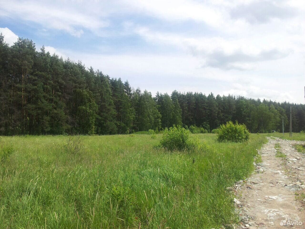 река сеченка раменский район