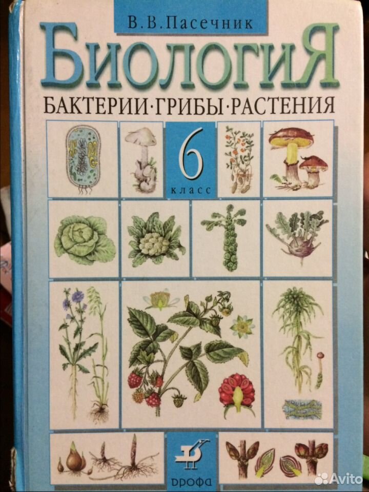 Биология 6 класс учебник пасечник обмен веществ