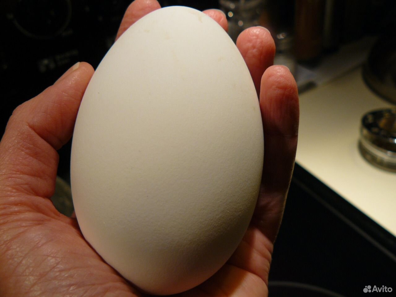 Яйцо домашнее купить на Зозу.ру - фотография № 2