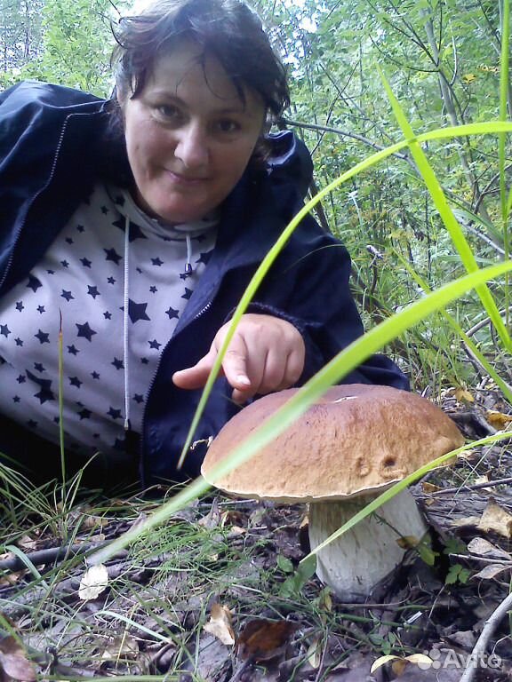 Сушенные грибы купить на Зозу.ру - фотография № 2