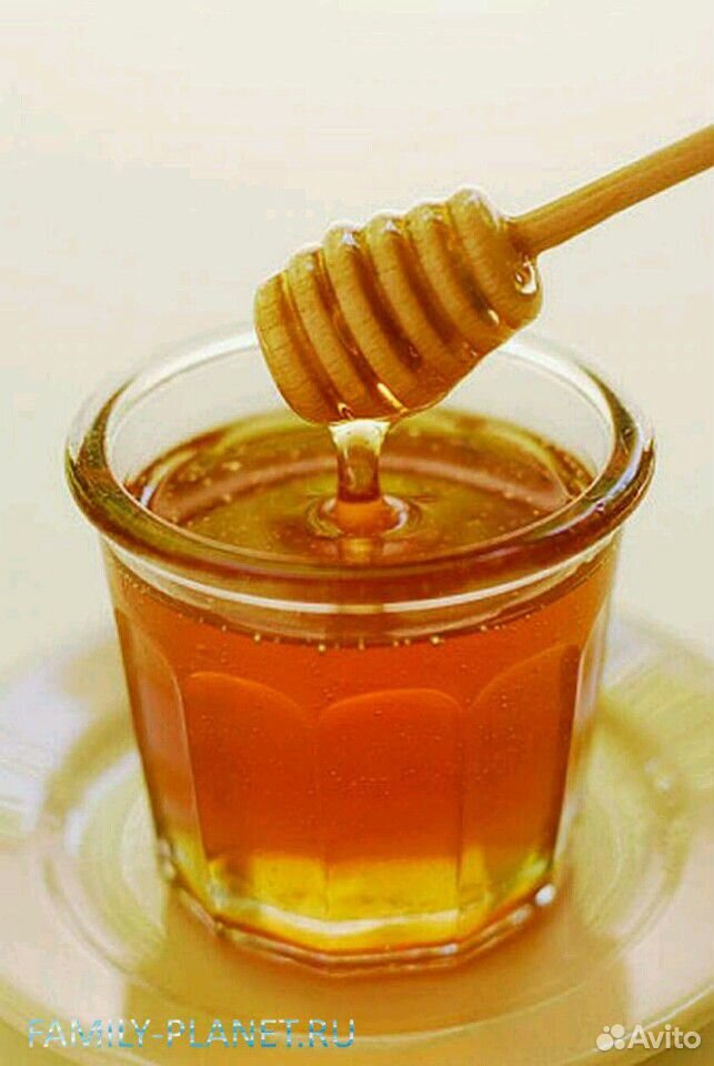 Продам мед цветочный купить на Зозу.ру - фотография № 1