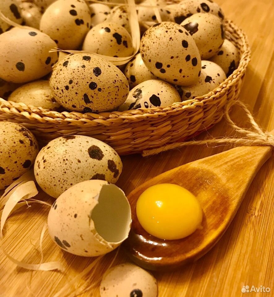 Домашние перепелиные яйца купить на Зозу.ру - фотография № 1