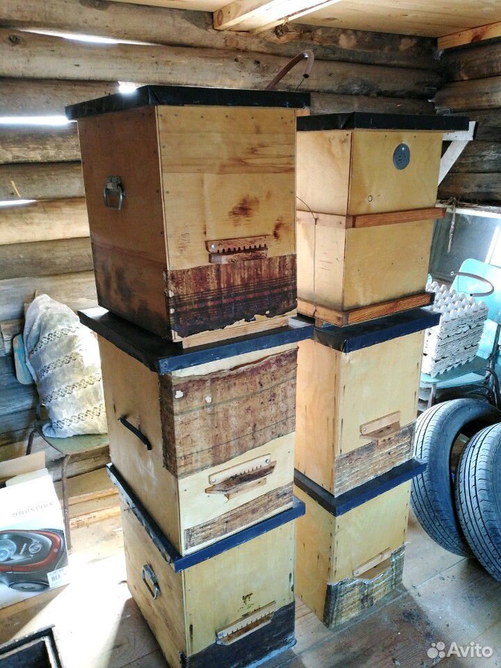 Ловушки для пчел купить на Зозу.ру - фотография № 1