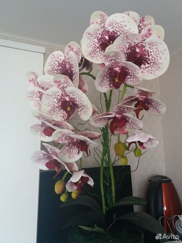 Имитация Орхидеи, латекс, эко-силикон купить на Зозу.ру - фотография № 7