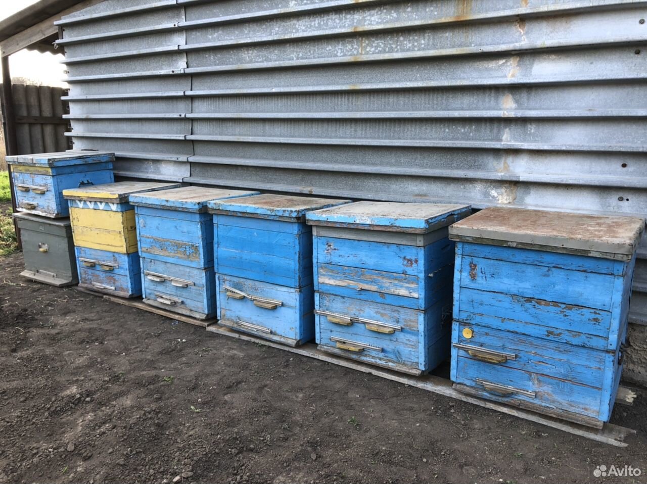 Продаются улики для пчёл, рамки, медогон купить на Зозу.ру - фотография № 2