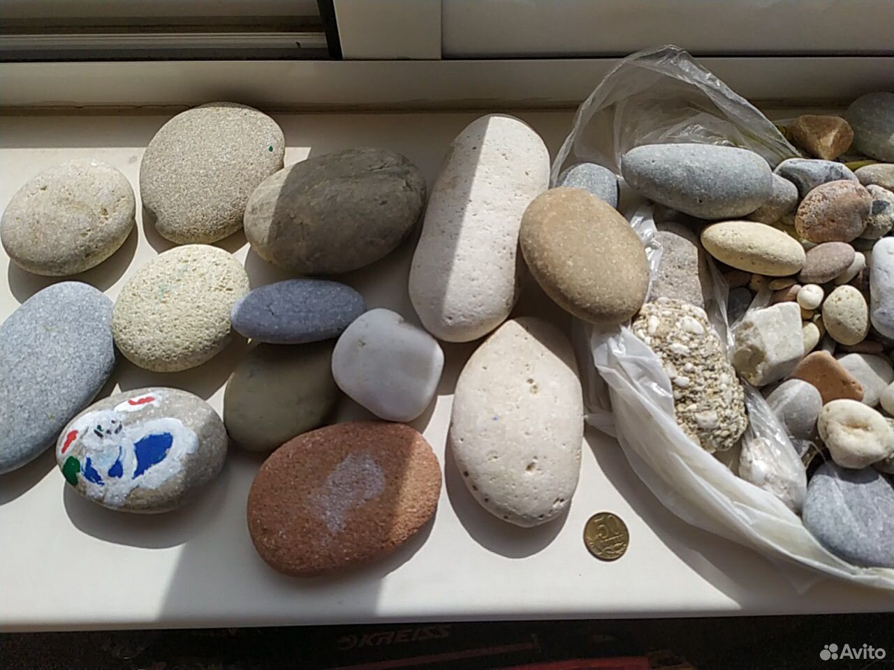 Морской аквариум камни. Живые камни для морского аквариума. Морской камень в Калининграде. Морские камни Евпатории.