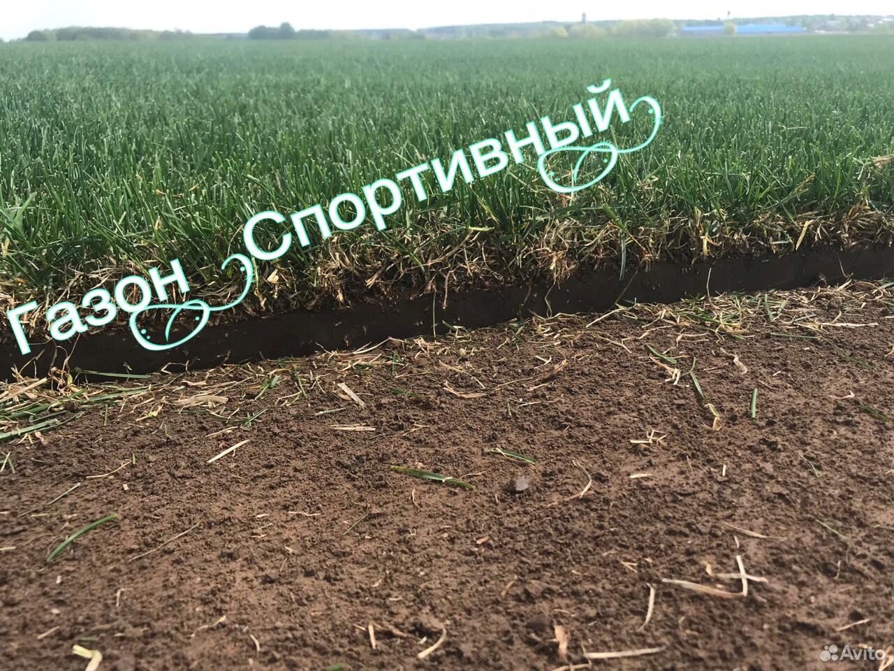 Рулонный газон от производителя купить на Зозу.ру - фотография № 1