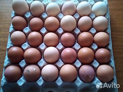 Цыпленок бройлера, яйцо куриное купить на Зозу.ру - фотография № 5