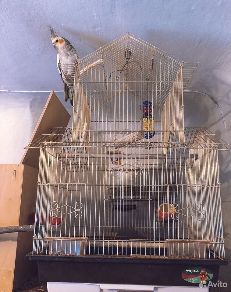 Клетка для попугая купить на Зозу.ру - фотография № 1