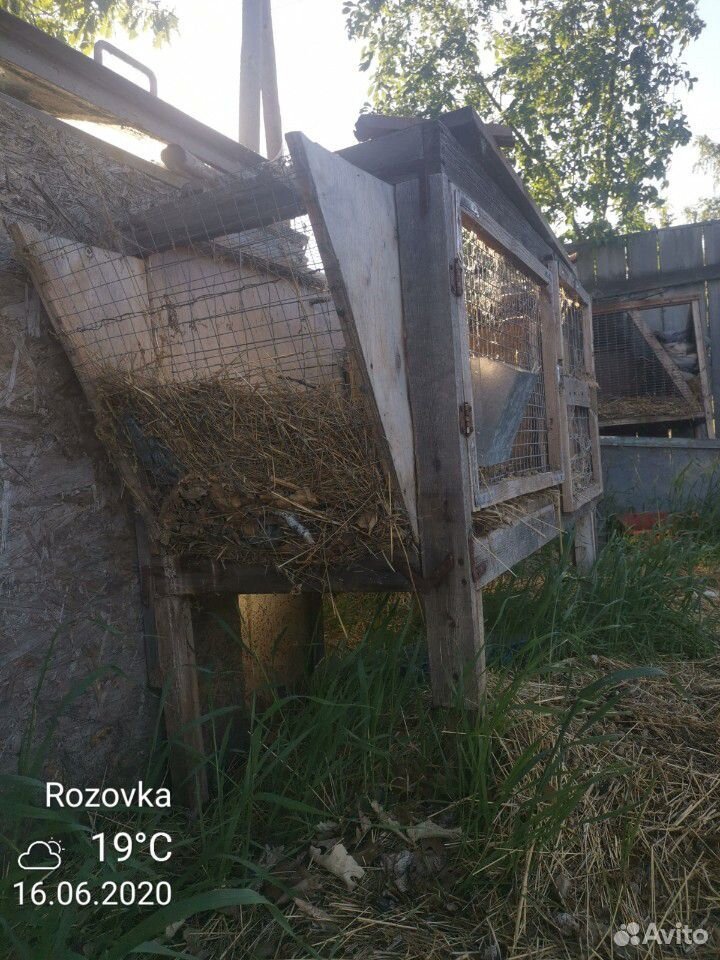 Клетки для кроликов купить на Зозу.ру - фотография № 9