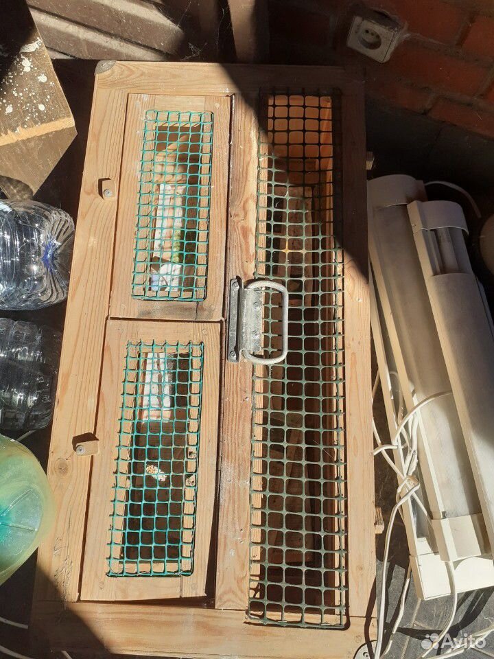 Деревянная коробка, переноска, голуби купить на Зозу.ру - фотография № 1