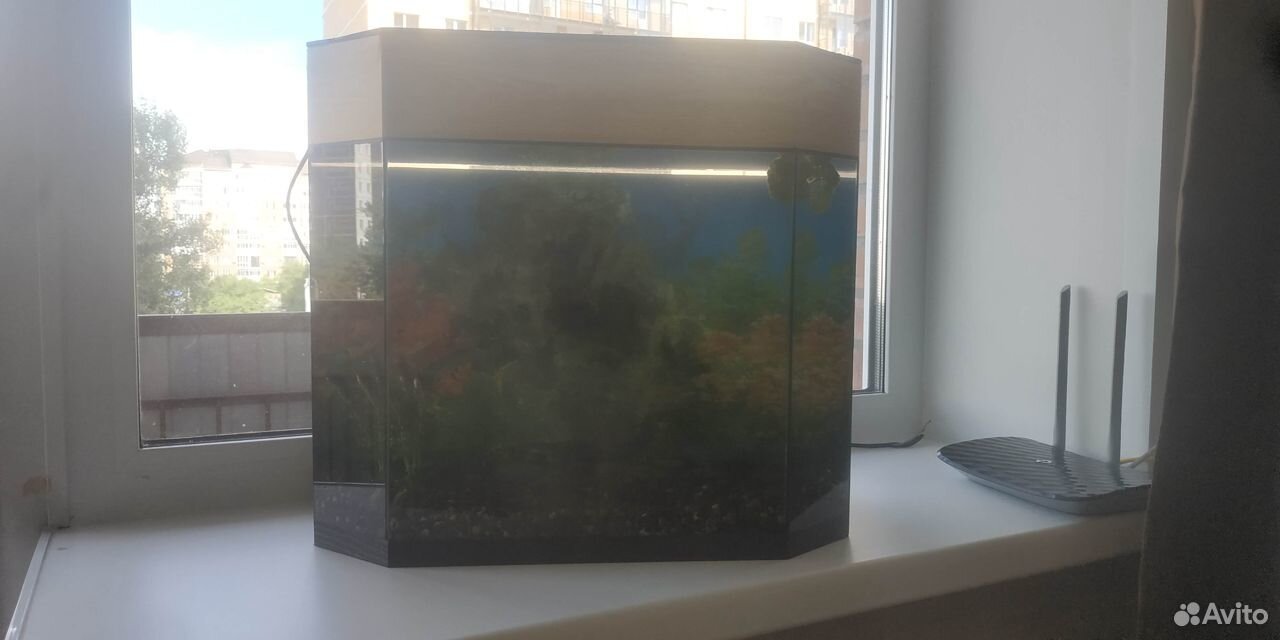 Продам аквариум со всем прилагающимся внутри 50 ли купить на Зозу.ру - фотография № 2