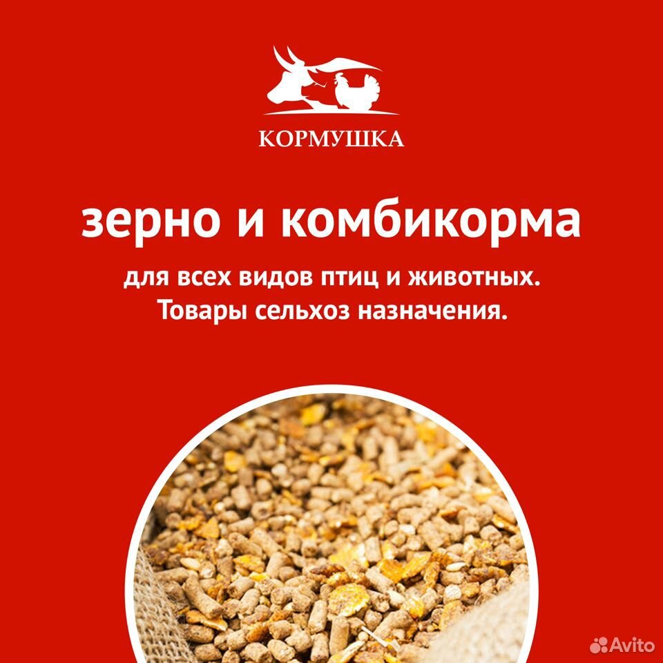 Комбикорм Старт для Кур-Несушек Мегамикс купить на Зозу.ру - фотография № 2