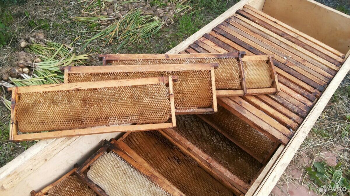 Сушь для пчёл, рамка Дадан купить на Зозу.ру - фотография № 1
