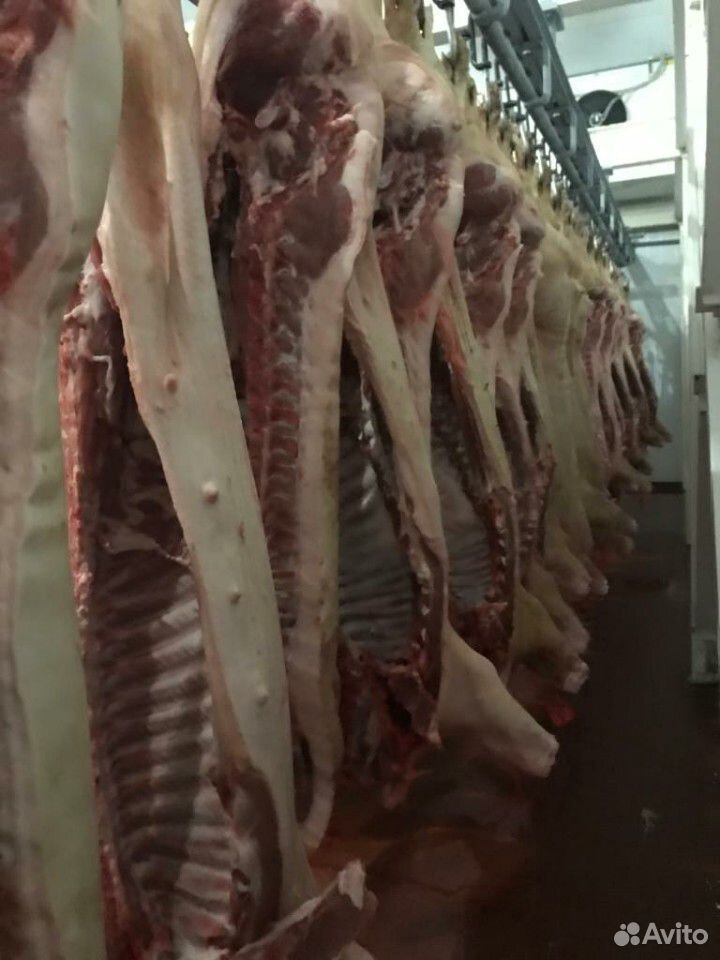 Мясо свинины полутуши купить на Зозу.ру - фотография № 2
