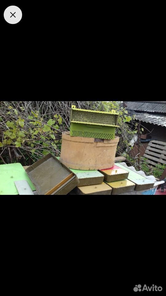 Кормушки для пчел купить на Зозу.ру - фотография № 1