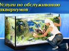 Чистка аквариума, обслуживание аквариума объявление продам