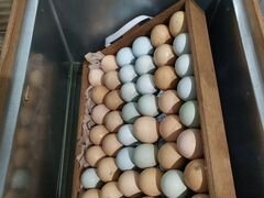 Яйцо инкубационное арукан