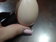 Яйцо куриное деревенское