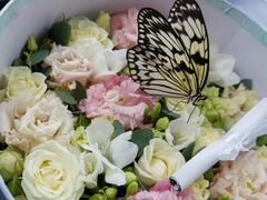 Цветы с живыми бабочками