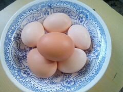 Куриные яйца (кушать или на инкубацию)