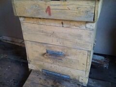 Продам четыре пчелосемьи с ульями