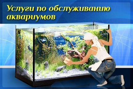 Чистка аквариума, обслуживание аквариума