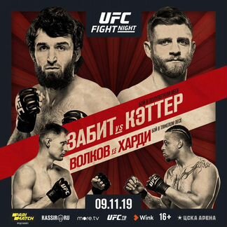 UFC Fight Night Москва 09.11.19, сектор 434