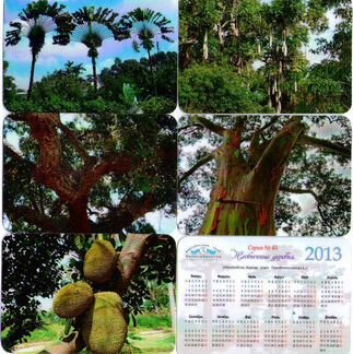 Календари в наборах необычные деревья