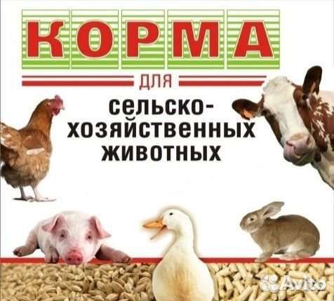 Зерно пшеница ячмень овес отруби комбикорм