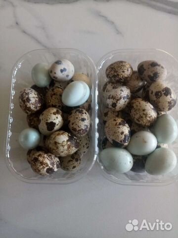 Яйцо перепелиное, куриное пищевое