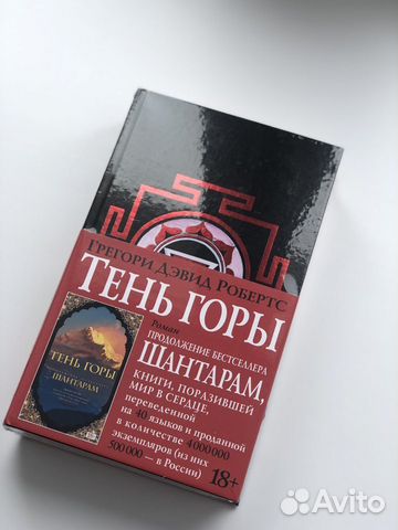 Книга «Тень горы»