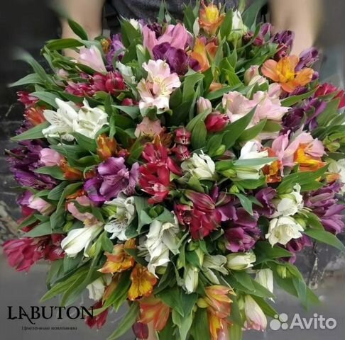 Букет альстромерии. Доставка в городе Иркутск