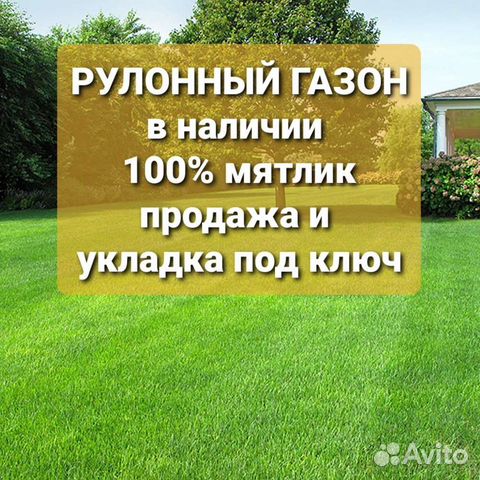 Рулонный газон под ключ и обслуживание
