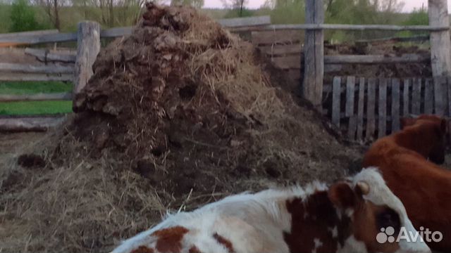 Навоз,перегной в мешках