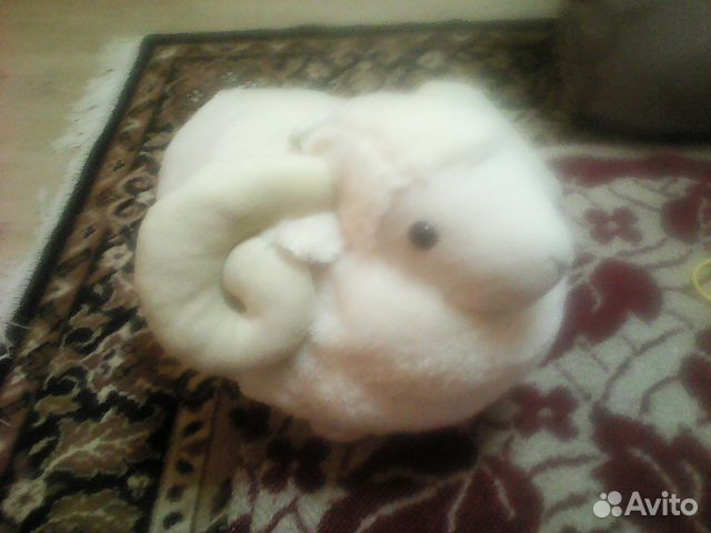 Оригинальная овечка Оригинальная овечка