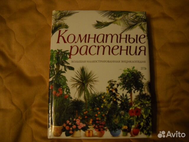 Комнатные растения