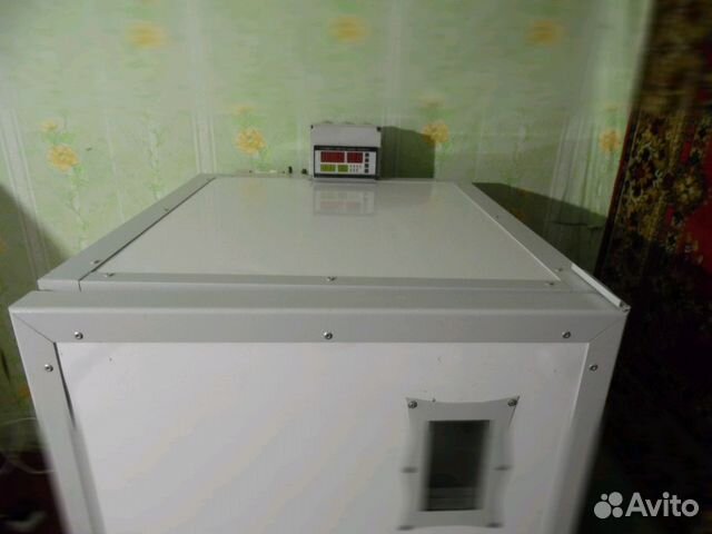 Инкубатор илб-0,5м купить на Зозу.ру - фотография № 2