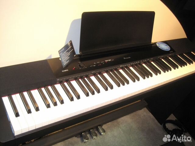 casio px 150
