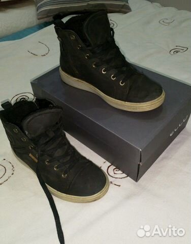 ecco s7