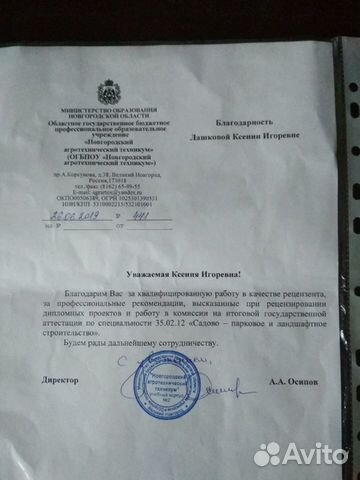 Преподаватель-стажер (в колледжах, университетах и