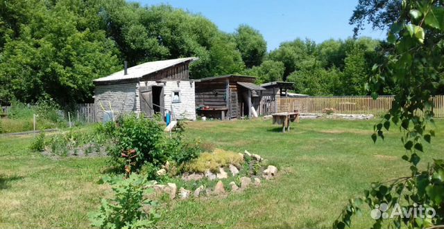 Дом 100 м² на участке 50 сот. Дом 100 м² на участке 50 сот.