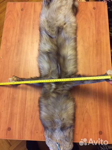 Шкура песца Шкура песца