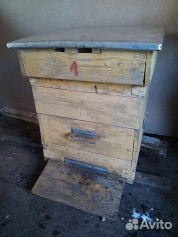 Продам четыре пчелосемьи с ульями купить на Зозу.ру - фотография № 1