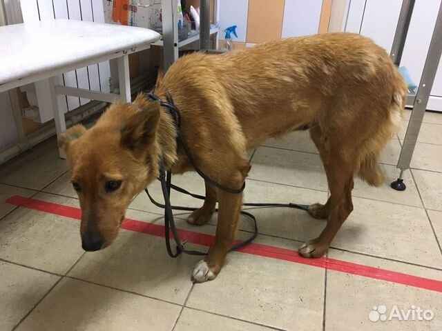 Помогите найти ранена
