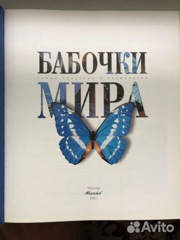 Энциклопедии для детей Энциклопедии для детей